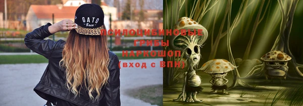кокс Богородицк