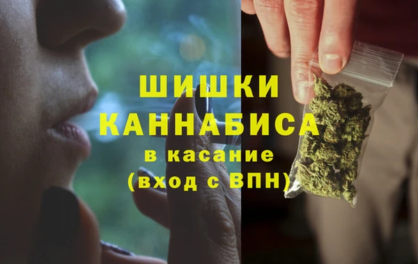 кокс Богородицк