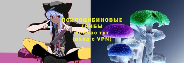 ешки Верхний Тагил