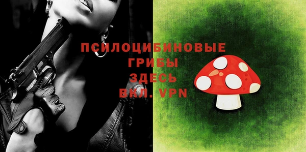 кокс Богородицк