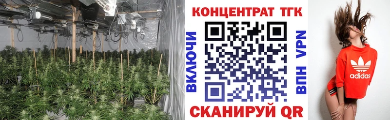 ТГК гашишное масло  купить   Воткинск 