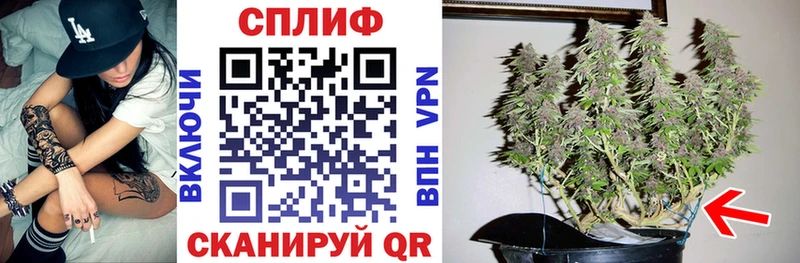 Конопля MAZAR  закладка  Воткинск 